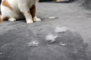 Pet-Friendly Cleaning Tip
